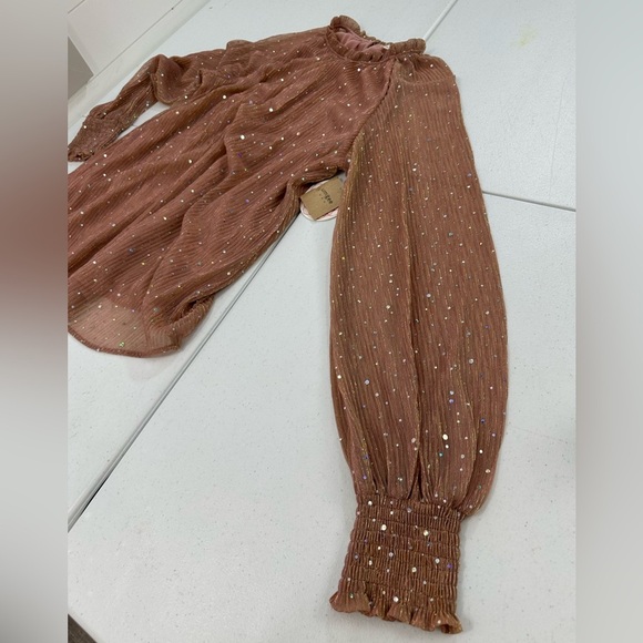 NWT Umgee Mauve Shimmer Pleated Sheer Blouse Long Sleeve Ruffle Mock Neck - Picture 9 of 11